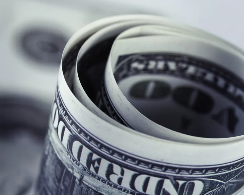 dolar birikimi hayat sigortası