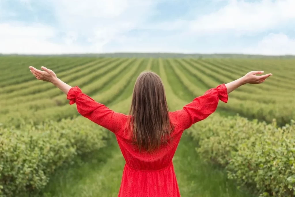 Prim İadeli Hayat Sigortası Kimler İçin Mantıklı Bir Tercih Olabilir